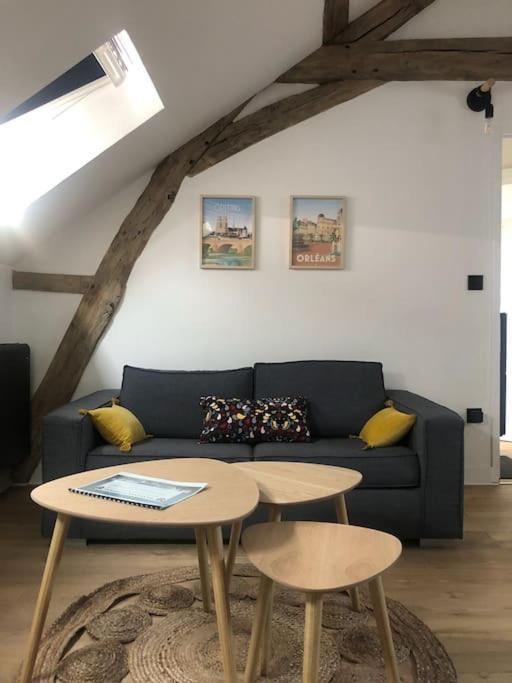 Le Domremy F2 Au Coeur D'orleans Appartement *