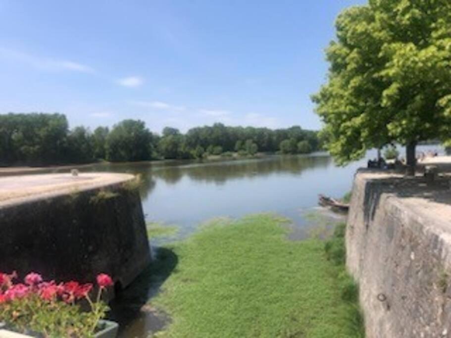 Le Domremy F2 Au Coeur D'orleans Orléans